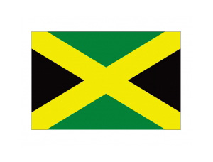牙买加国旗矢量图
