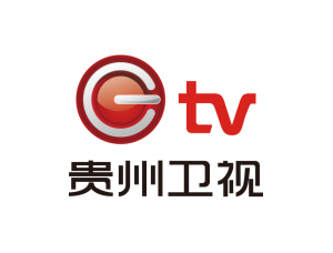 贵州卫视台标logo矢量图