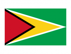 圭亚那国旗矢量图