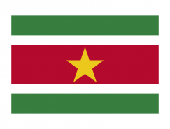 苏里南国旗矢量图