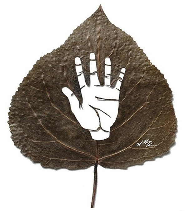 Lorenzo Manuel Duran惊人的树叶雕刻艺术