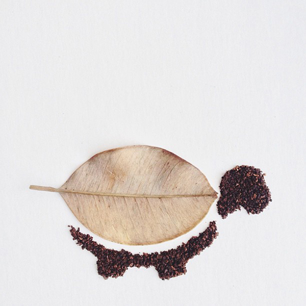咖啡粉作画:Liv Buranday美丽的咖啡艺术