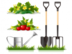 园丁工具和蔬菜田矢量素材