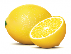柠檬矢量素材(2)