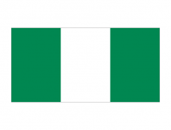 尼日利亚国旗矢量图