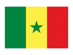 塞内加尔国旗矢量图