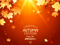 秋天落叶背景矢量素材