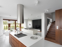 波兰D58白色简约的住宅设计