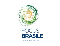 Focus Brasile会议视觉形象设计