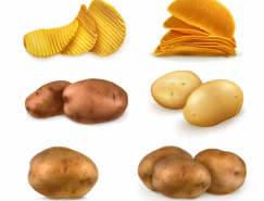 马铃薯和薯片矢量素材