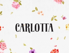 Carlotta面包店品牌和包装设计欣赏