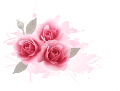 浪漫粉玫瑰水彩背景矢量素材