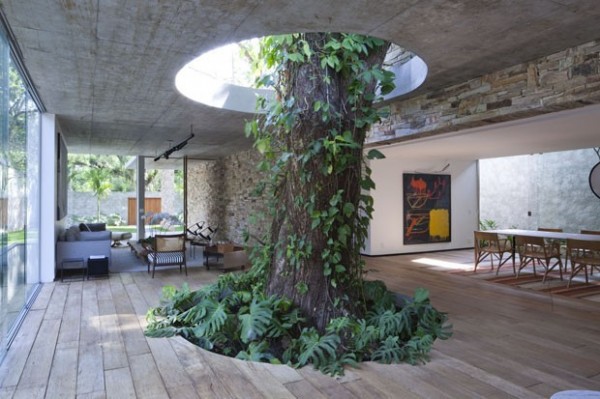 环绕大树的巴西别墅设计