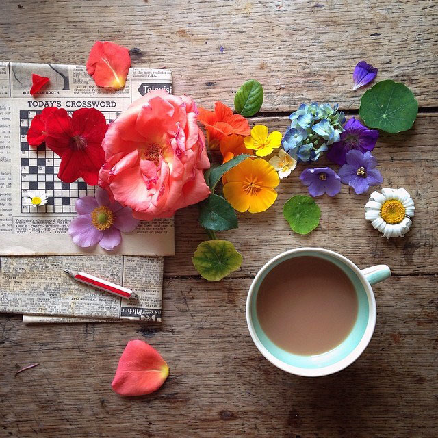 Philippa Stanton花卉摄影欣赏