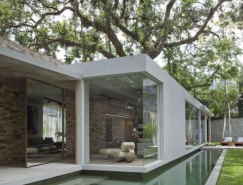 环绕大树的巴西别墅设计