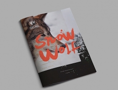 雪狼除雪机械画册设计欣赏