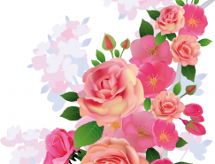 粉色花卉背景矢量素材