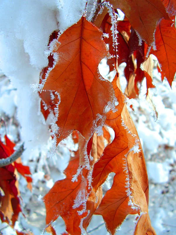 70张漂亮的冬季风光摄影作品