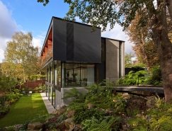 伦敦Fitzroy公园繁茂的林中住宅