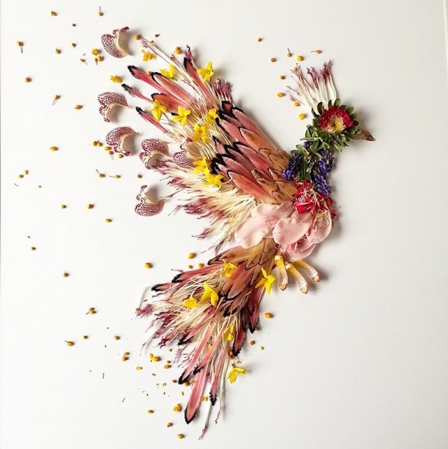 Bridget Beth Collins:花的艺术