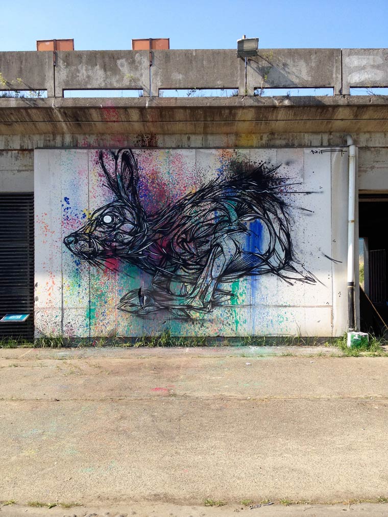 缤纷炫丽的动物画:街头艺术家DZIA作品欣赏