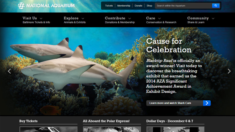 35个国外动物园和水族馆网站设计