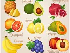 9种美味水果矢量素材