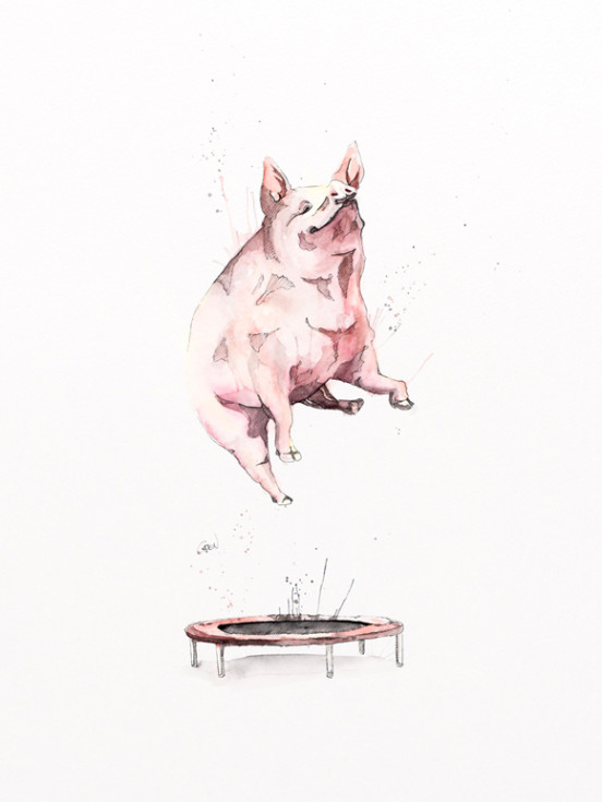 Philipp Grein动物水彩插画欣赏