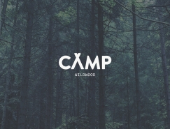 60天的60个logo:karoline tynes标志设计作品