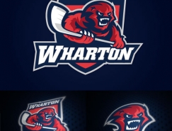 100款体育俱乐部logo设计