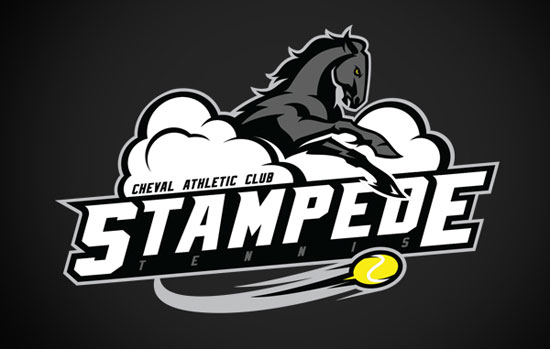 100款体育俱乐部logo设计