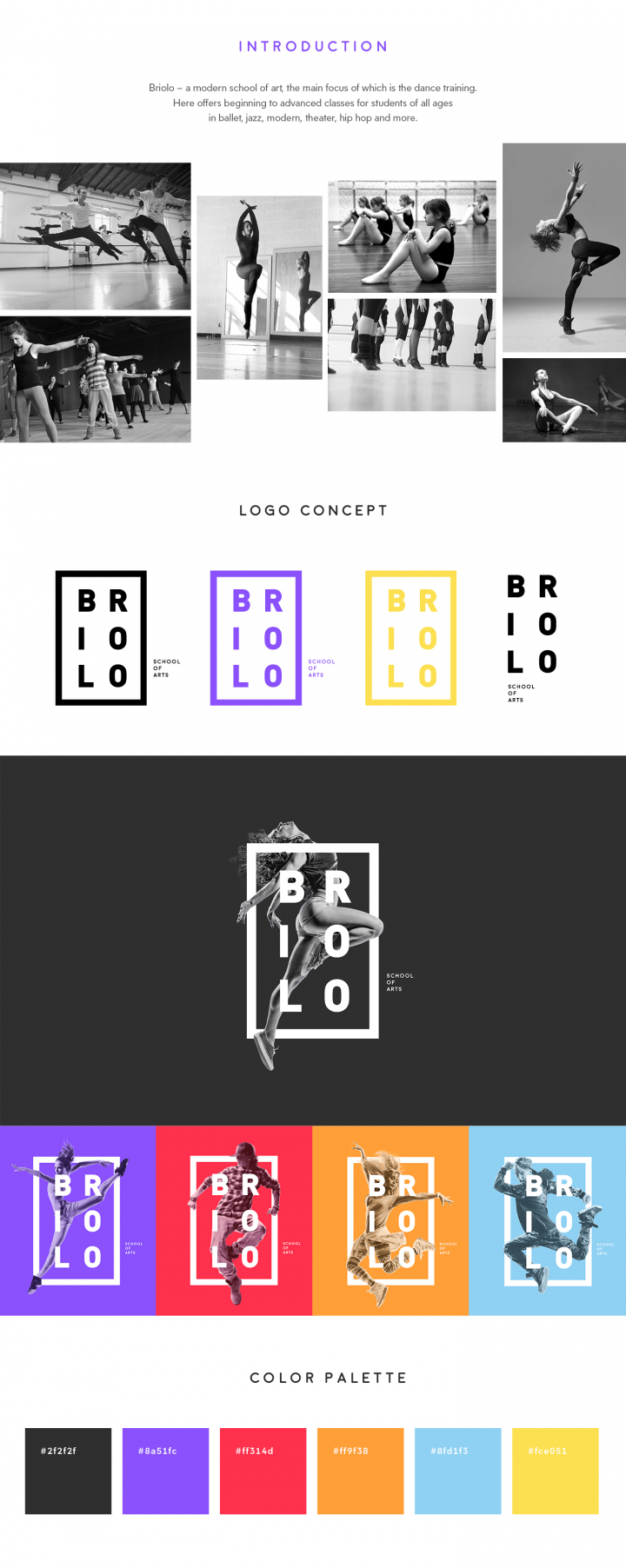 Briolo艺术学校品牌视觉设计