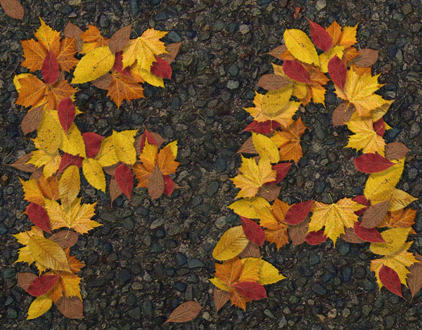 Photoshop制作有趣的秋季树叶字