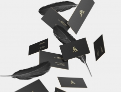 设计师Adrian Iorga个人品牌设计