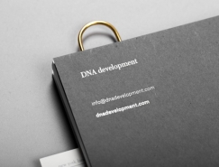 DNA Development品牌视觉设计