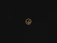 Michael Molloy标志设计作品