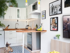 布拉格45平方米小公寓装修设计