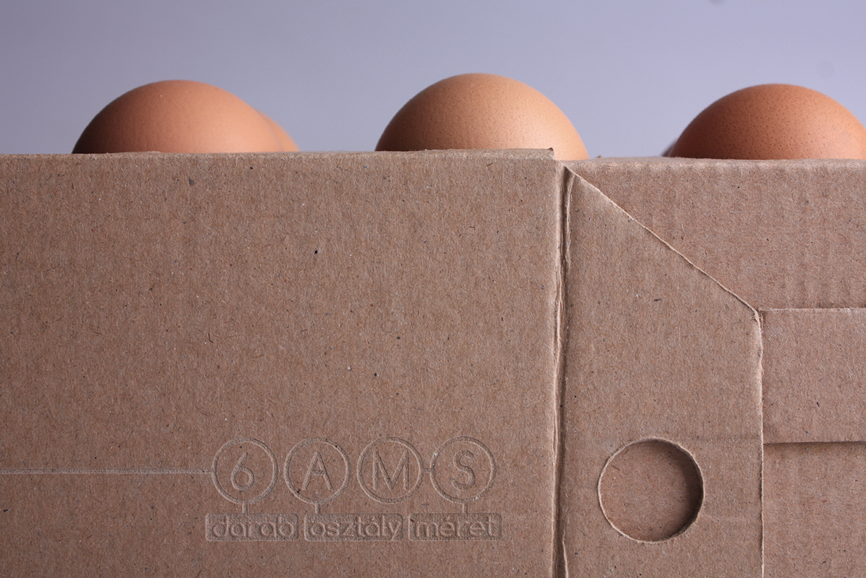 2个创意鸡蛋包装盒设计