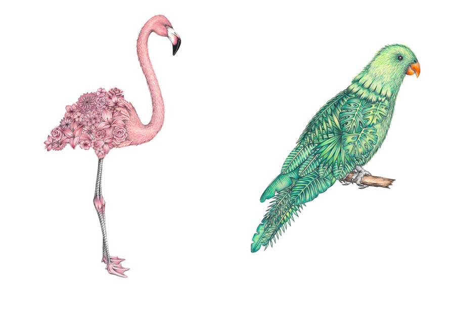 Chloé Mickham超现实风格手绘动物插画
