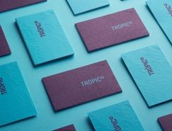 音像制作公司Trópico品牌形象设计