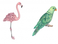 Chloé Mickham超現實風格手繪動物插畫