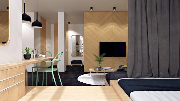 3个精致的一居室小公寓设计