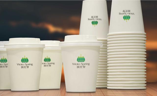 来自熊猫第一县的问候: 平武窝托泉VIS设计