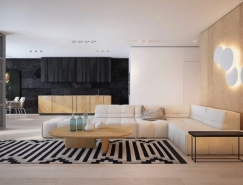 黑白浅木色 2个简约现代风格住宅设计
