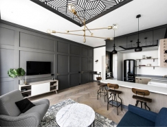 老房子改造的经典和现代风格的小公寓