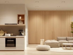 3个精致豪华的一居室小公寓设计