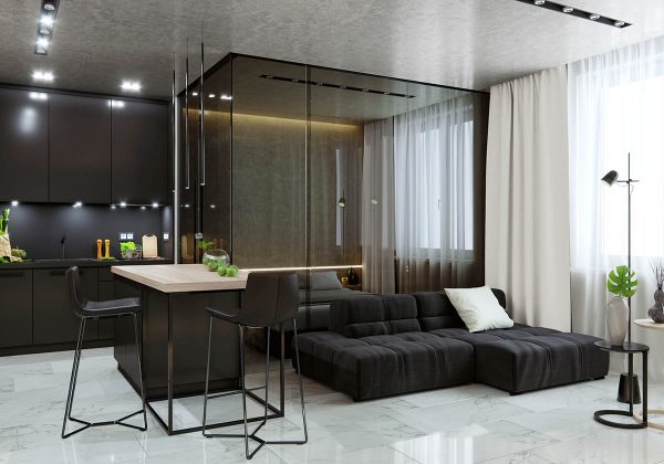现代装饰风格的5个一居室小公寓设计