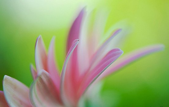 每周精选：优秀的照片和艺术作品(二)