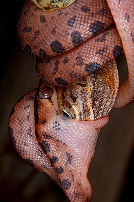 每周精选：优秀的照片和艺术作品(二)