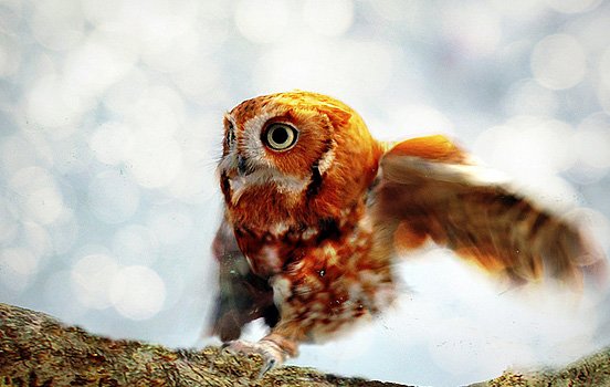 每周精选：优秀的照片和艺术作品(二)